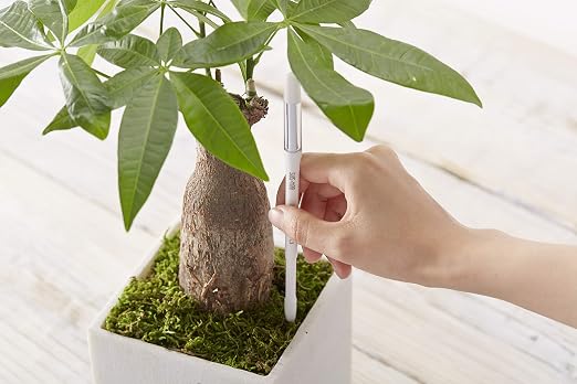 Sustee Aquameter, Set of 5, Plant Soil Moisture Sensor (Green, Medium)