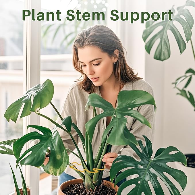 Monstera Plant Support for Indoor Plants Metal Plant Stem Holder Plant Support Ring for Climbing Plants Stem Stabilizer (6.29 * 7.08inch/ 5)