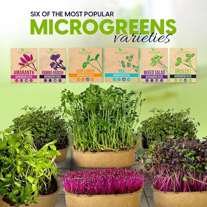 ZESTIGREENS Microgreens Growing Kit, 6-Grow Variety Pack with Most Popular & Colorful Microgreens Varieties