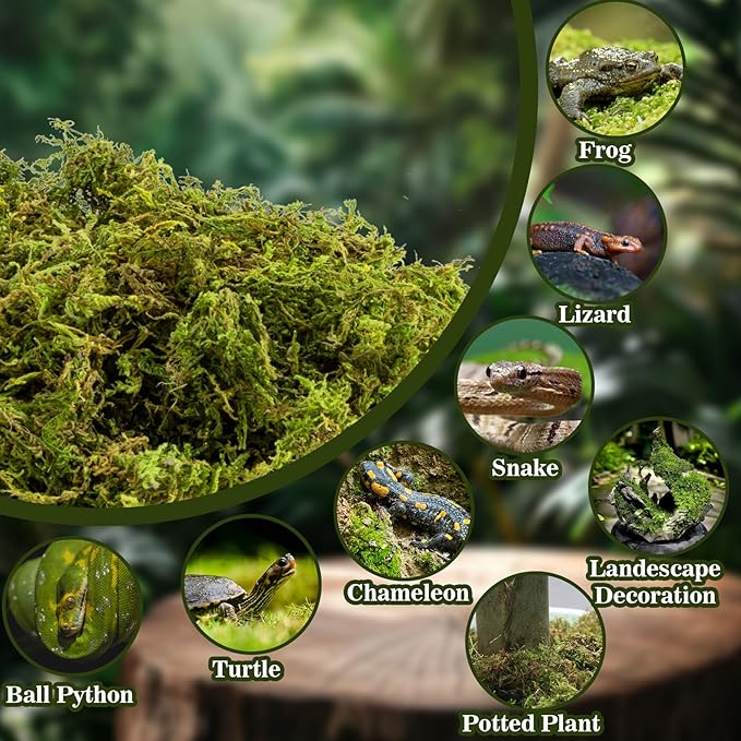 Sukh Sphagnum Moss for Reptiles - Terrarium Reptiles Moss Green Dried Peat Moss Habitat Bedding Moss for Snakes Turtle Frog Gecko and Other Reptiles Substrate (15.8, Ounces)