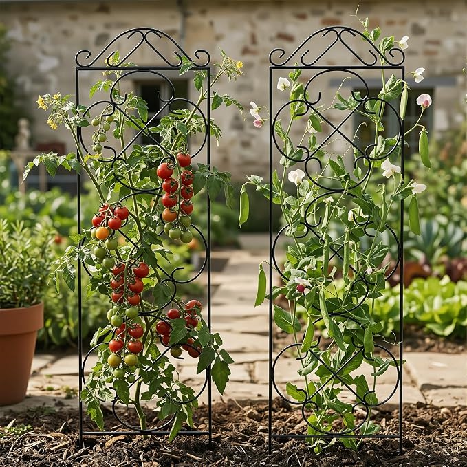 Thealyn Garden Trellis for Climbing Plants, 4 Pack 56" x 13.8" Metal Trellis for Potted Plants and Planters, Rust-Resistant Plant Support for Indoor Outdoor Use, Black