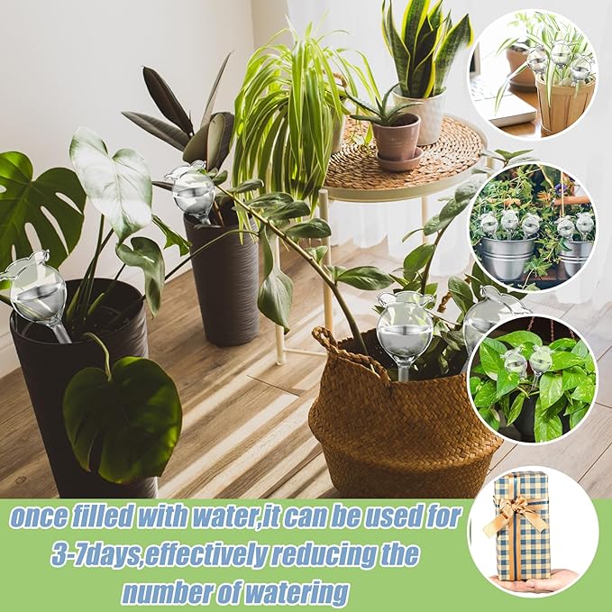 Yungyan 6 Pcs Glass Plant Watering Globes Self Watering Planter Insert Glass Water Bulbs for Indoor Plants Automatic Plant Water Devices for Indoor Outdoor Plants(Clear Tulip,5.31 Inch)