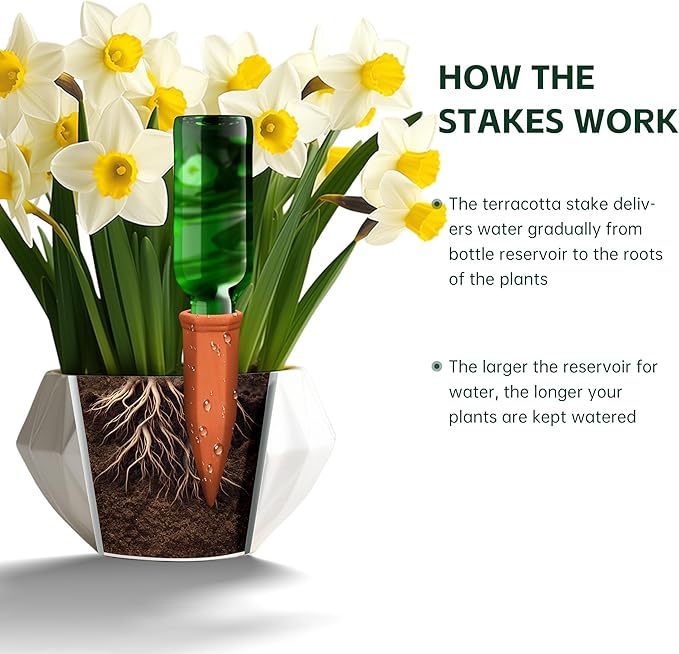 Soilagua Large Terracotta Watering Spikes with Lids, Automatic Plant Waterer Outdoor | Indoor, Vacation Friendly Clay Plant Watering Devices System, Slow Release Self Watering Planter Insert, 6 Pack