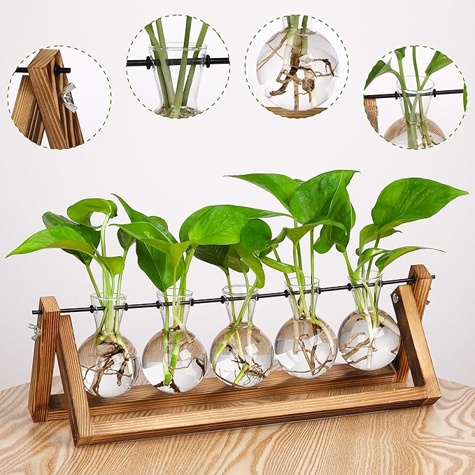 YIBOT Plant Propagation Stations with Wooden Stand & 5 Glass Bulb Vases | Tabletop Plant Terrarium for Propagating Hydroponic, Retro Glass Planter Flower Vase Home Kitchen Office Decor Gifts