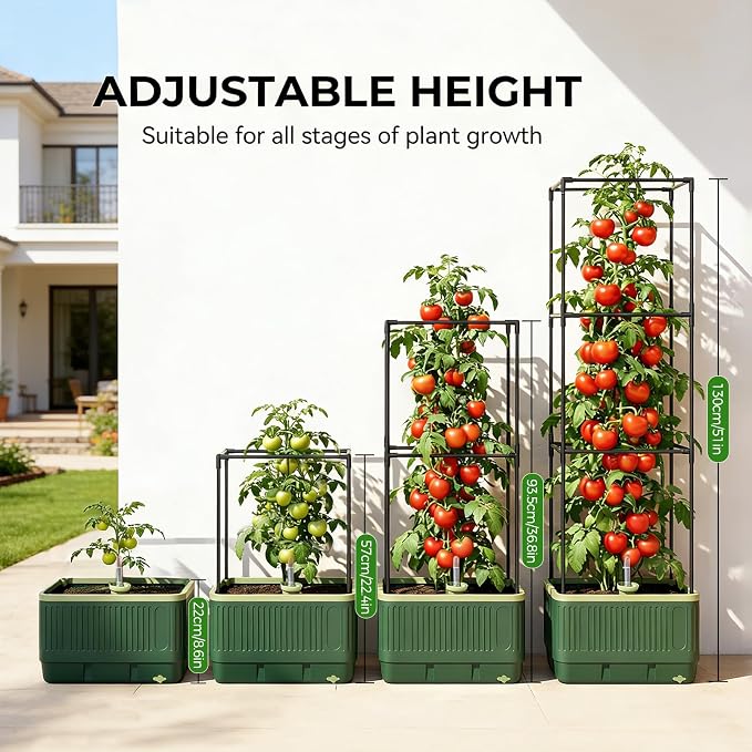 Raised Garden Bed Tomato Planter with Trellis, 52" Self Watering Tomato Planter with Water Level Indicator, Larger Rectangular Tomato Cages for Indoor & Outdoor Climbing Vegetable and Plants (1)