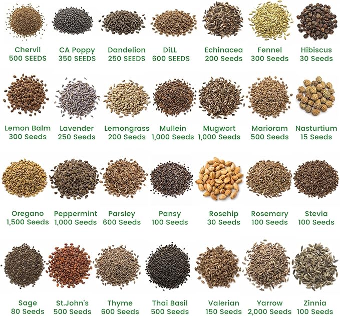 35 Medicinal & Tea Herb Seeds Variety Pack – 16,400+ Non-GMO Heirloom Seeds for Indoor & Outdoor Gardening: Basil, Chamomile, Rosemary, Mint, Oregano, Lavender & More