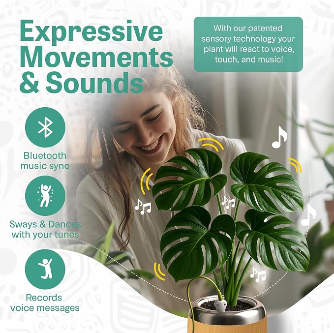 Smart Robotic Planter for 4” Potted Plants- Faux Woodgrain| Interactive Moving & Dancing Flowerpot with Bluetooth Speaker | Touch Responsive for Real Indoor Plants | Custom Voice Record