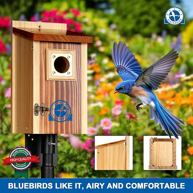 SISTERBIRD Pack of 2 Premium Bluebird Houses for Outside, Assembled Bird House Gift, Garden Decoration Bluebird House, Copper Predator Guard, Easy to Clean Bird Nesting