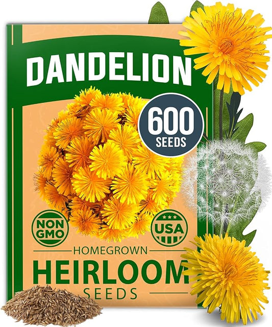 HOME GROWN Dandelion Seeds for Planting 600 Heirloom Medicinal Herb Seeds (~0.3g) Non GMO Grow Edible Leaves and Flowers for Remedies or Wildlife (Taraxacum officinale)