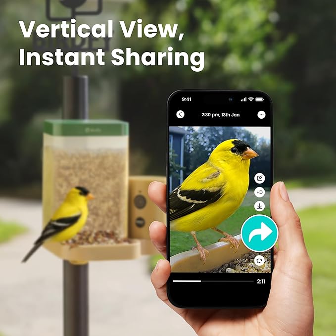 Birdfy Smart Bird Feeder with Camera for Rookie, Camera Bird Feeder Dual Night Vision, AI Recognition IP66 Waterproof for BirdLovers, 1.3L Capacity