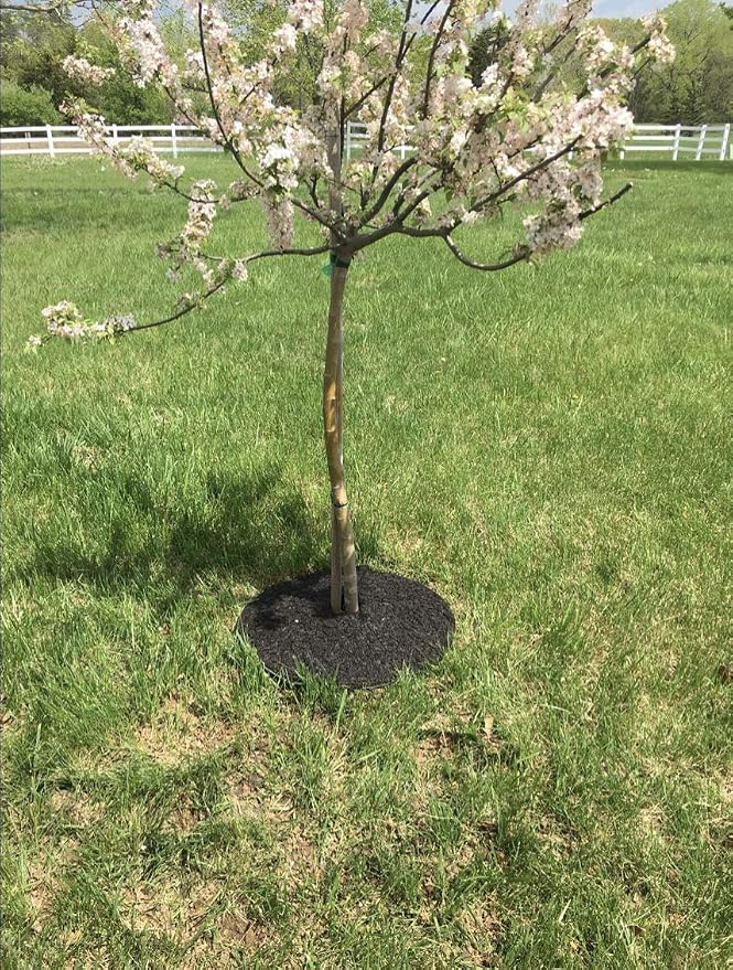 Rocky Mountain 30-Inch Tree Mulch Ring Weed Preventer - Recycled Heavy Duty Rubber - Mower Safe - No Landscape Staples Needed - Natural Look - Equal Water Seepage to Tree - Easy Install