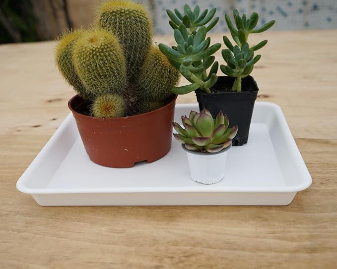 VUWEZ Plant Saucer Growing Tray, Seed Starter Tray Rectangular, Heavy Sturdy Plastic Plant Saucers Drainage Trays, Plant Drip Trays for Pots, Seed Starter Growing Pots (11 x 9 inch, 2 Pack)