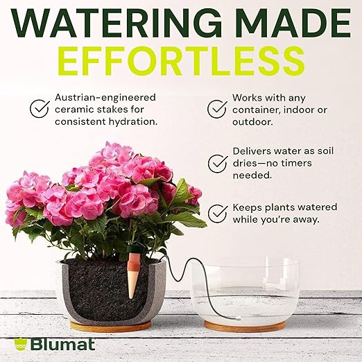 Blumat Classic Self-Watering Stakes - Prevents Overwatering and Underwatering for Healthy Growth While You are Away - Ideal for Indoor Plant Watering, 6 Pack, w Adapter