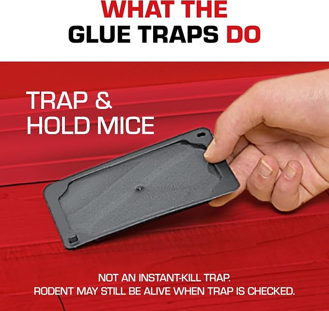 Tomcat Glue Traps Mouse Size with Eugenol for Enhanced Stickiness - Sticky Pads For Mice, Cockroaches, and Spiders, 6 Traps