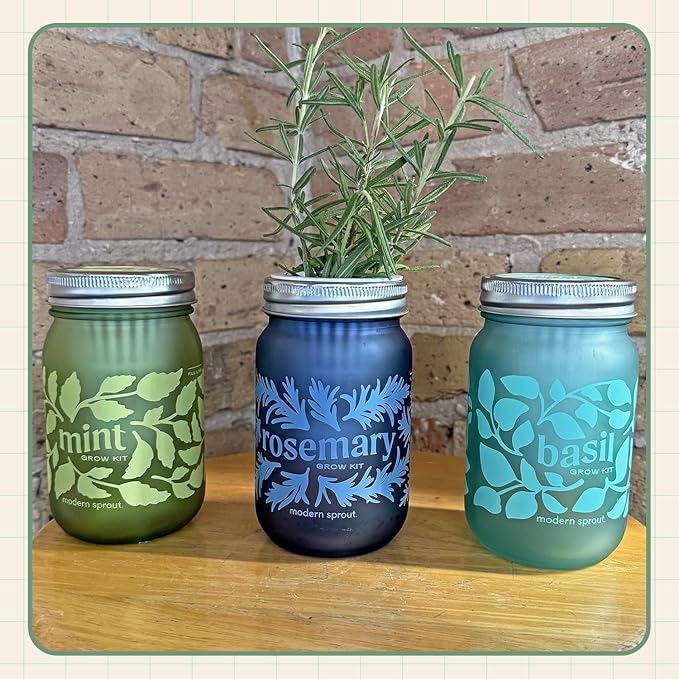 Modern Sprout Mason Garden Jar - Self-Watering Hydroponics Growing System Kit with Organic Herb Seeds - Jar Planter for Indoor Herb Garden - Seed Starter Kit -Home Decor & Gifting -Mint+Rosemary+Poppy