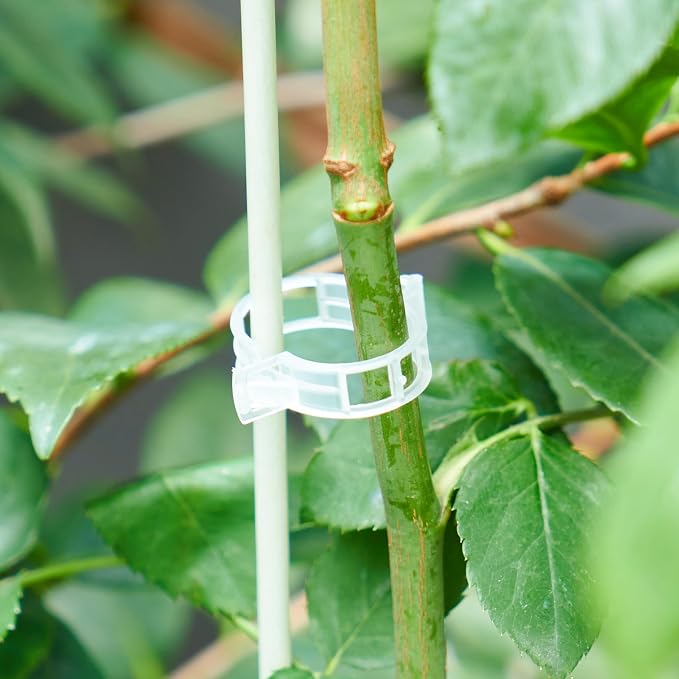 200Pcs Garden Vine Plant Support Clips,Plastic Fixing Clips for Securing and Training Climbing Plants,Tomatoes,Grapes,Vine Vegetables and Potted Plant (200, White)