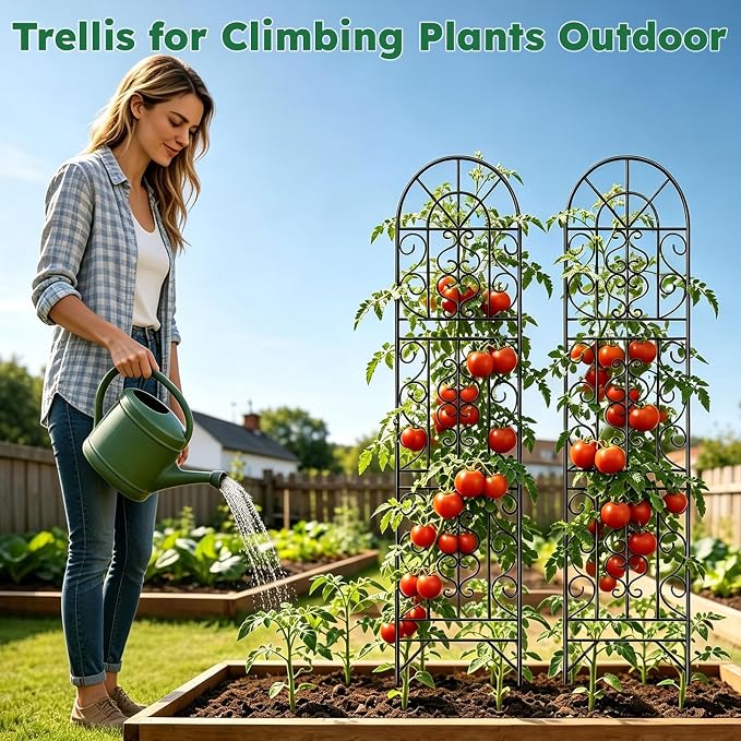 2 Pcs 60" H X 11.8" W Trellis for Climbing Plants Outdoor, Small Metal Garden Trellis for Outside, Sturdy Support Garden Plant Trellis Arch for Rose Cucumber Flower Vine Decor