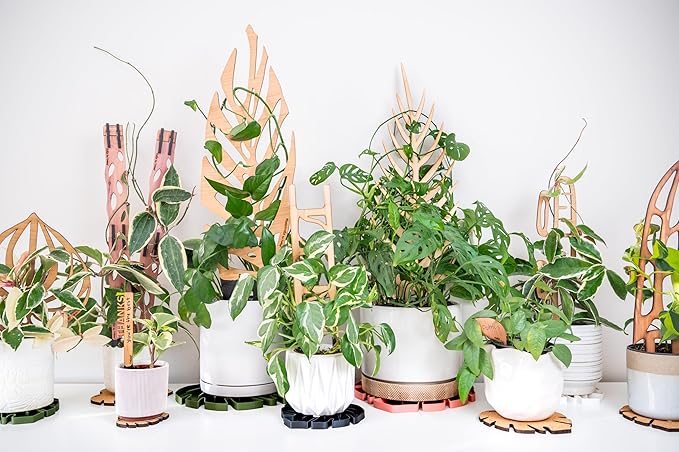 Treleaf Zella Grande Extension Kit - Wooden Extendable Plant Trellis (2 Extensions) for Indoor Climbing Houseplants - Modular Plant Support