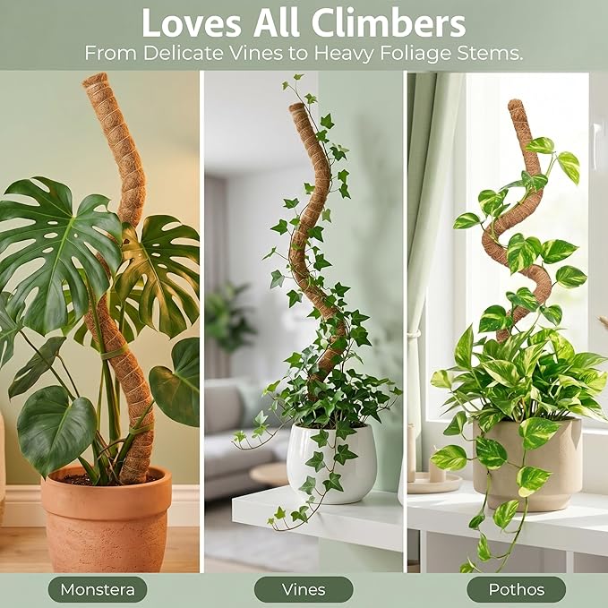30 Inches Bendable 2 Pack Moss Pole Monstera Plant Support Stakes - Moss Poles for Climbing Plants, Plant Stakes for Indoor Plants - Coco Coir Pole Moss Stick for Monstera, Pothos.