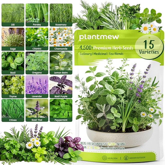Herb Seeds 15-Pack – 4,500+ Heirloom Seeds for Planting – Indoor & Outdoor Herb Garden Kit with Basil, Cilantro, Rosemary, Thyme, Dill, Sage – Medicinal & Culinary Herb Seeds Variety Pack