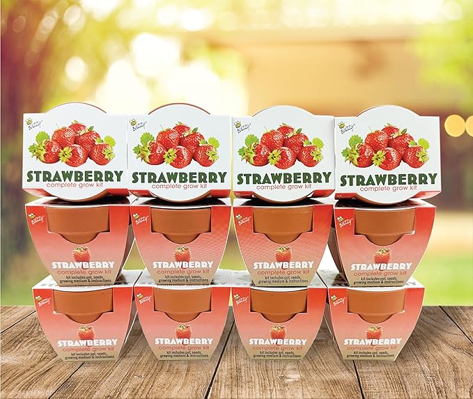 Buzzy Seeds Alpine Strawberry Grow Kit 12-Pack - Mini Terracotta Pot Grow Set - Complete Indoor/Outdoor Gardening Kit with Seeds, Coconut Husk Growing Medium & Genuine Pots - 100% Grow Guarantee