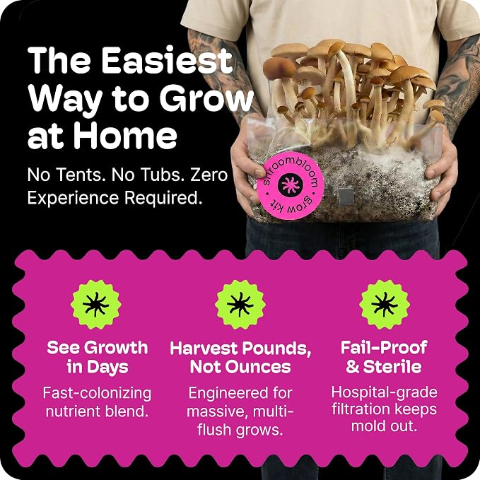 NuBlume Mushroom Grow Kit – All-in-One 2LB (2-Pack) Grow Bag with Self-Healing Port – Fast-Colonizing Universal Substrate for Any Mushroom – Multi-Flush High-Yield – USA Made (Just Add Your Own Culture)