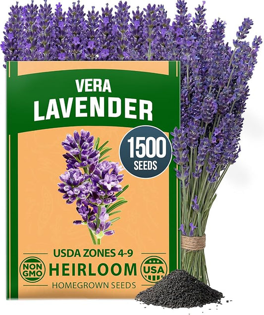 HOME GROWN Non GMO English Lavender Seeds 1,500+ Wildflower Seed for Planting Indoor/Outdoor, High Germination, Plant Flower Seeds (Lavandula antustifolia)