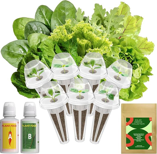 Inbloom 7-Pods Salad Greens Seed Pod Kit for AeroGarden, Ahopegarden, Gardencube Hydroponic Garden with Spinach, Buttercrunch, Paris & American Lettuce, Swiss Chard, Arugula, Bok Choy - 350 Seeds