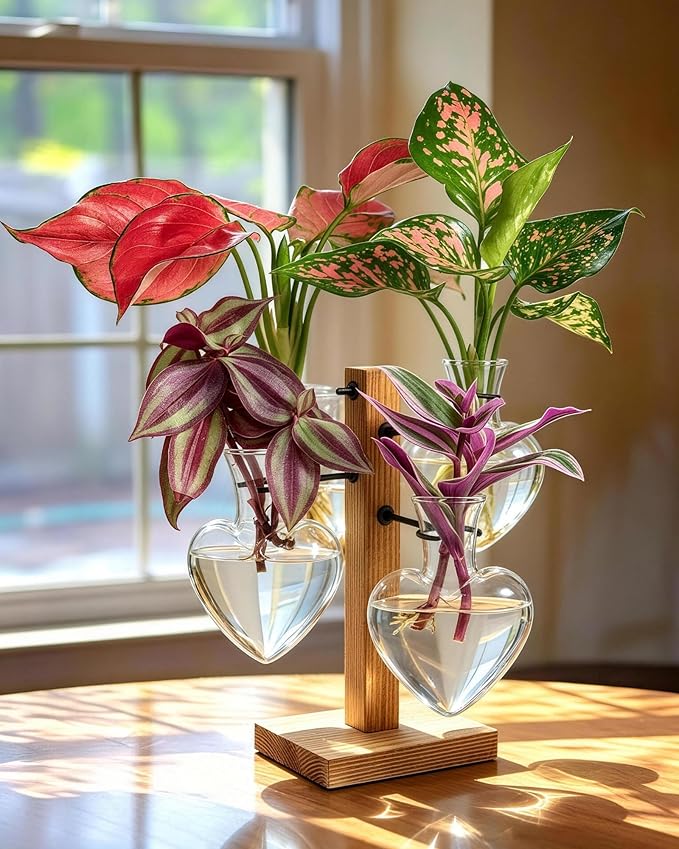 Plant Propagation Stations with Wood Stand, Plant Terrarium for Home Office Garden Decor, Gardening Gifts for Plant Lovers, 4 Glass Propagation Vases (Love Shape)