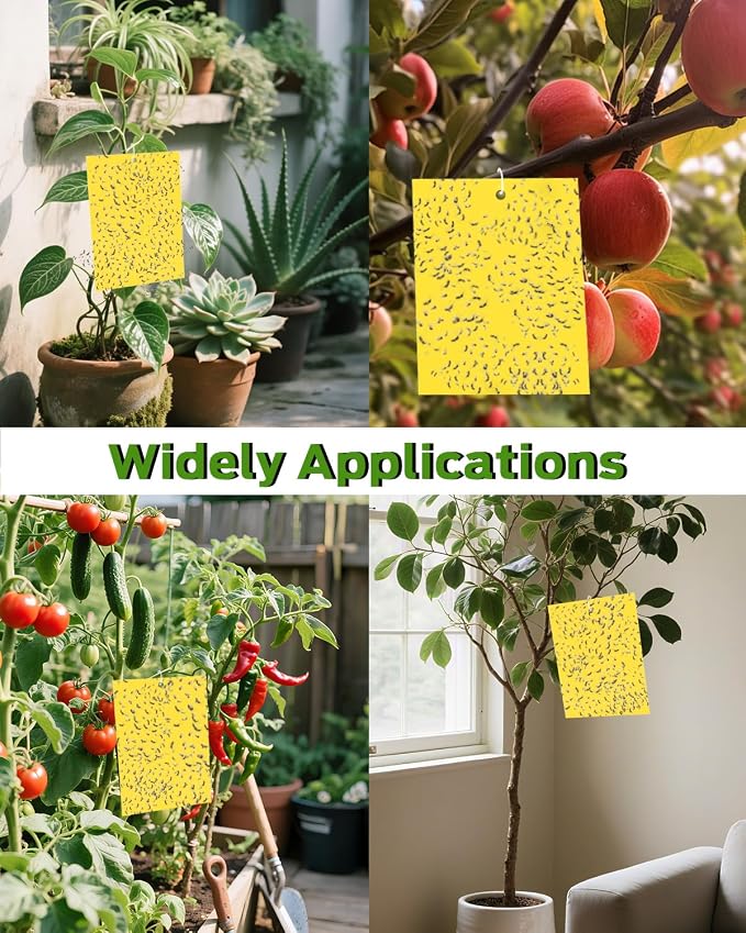 Gnat Sticky Traps for Plants -25 PCS + Kids Gardening Gloves - Fungus Gnat Traps for Indoor Plants, Non-Toxic Yellow Bug Sticky Traps for Houseplants, Garden & Kitchen -Kids Garden Gift Set