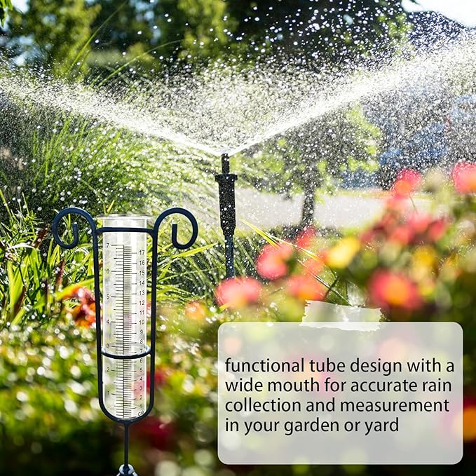 2 Pack Glass Rain Gauge, 8.25 x 2.25 Inches, 7 Inch Capacity, Clear Tube with Measurement Markings
