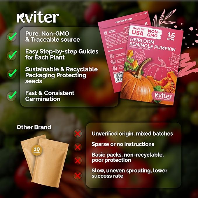 KVITER 15 Seminole Pumpkin Seeds for Planting (Cucurbita Moschata) - Heirloom Pumpkin Seeds for Indoor & Outdoor Planting, Non-GMO Mini Pumpkins Vegetable Seeds for Planting