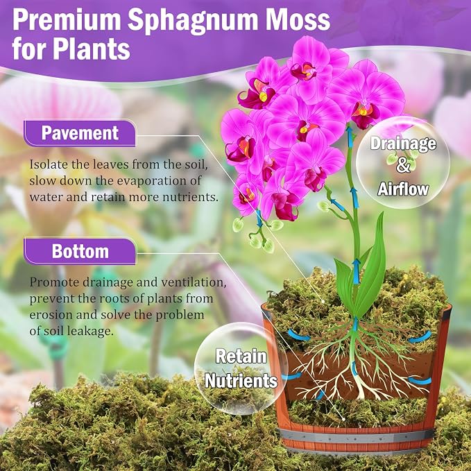 Riare 3.3LBS Premium Sphagnum Moss for Plants- 60QT Natural Dried Plant Moss for Potted Plants, Orchid Moss for Repotting, Soft Green Decorative Moss for Succulents, Reptiles & DIY Crafts