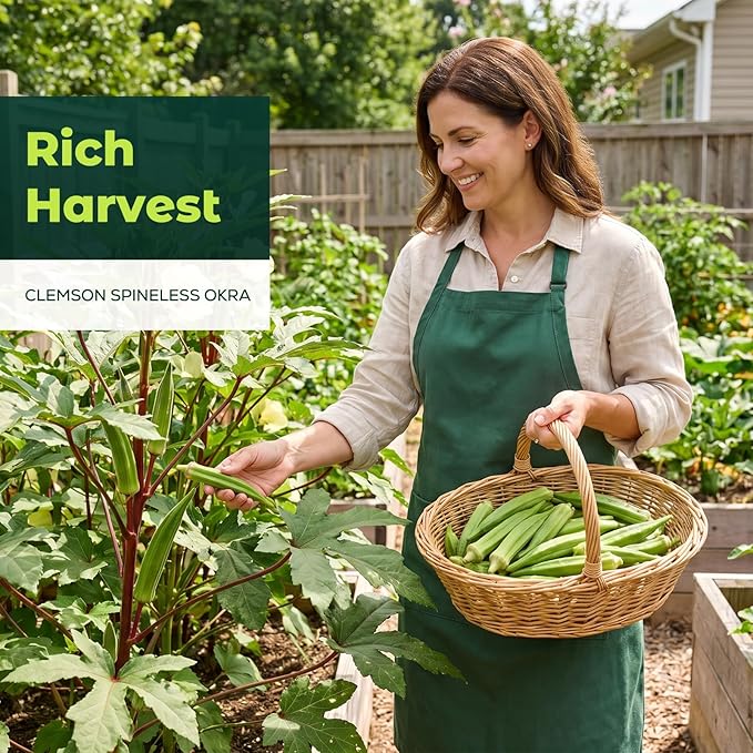 Clemson Spineless Okra Seeds for Planting, 120 Heirloom Seeds — Heat-Tolerant & High-Yielding, Fast Growing Vegetable Seeds for Outdoor Gardens