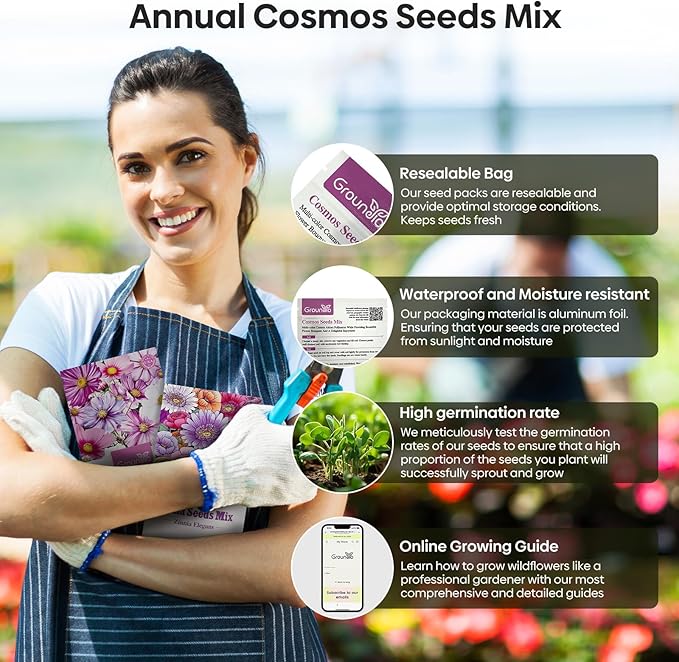 Groundio Cosmos Seeds Wildflower Mix 1 Oz, Over 3,000+, 4 Varieties Flowers Seeds for Planting (Radiance, Purity, Pinkie, Picotee), Open Pollinated Bulk