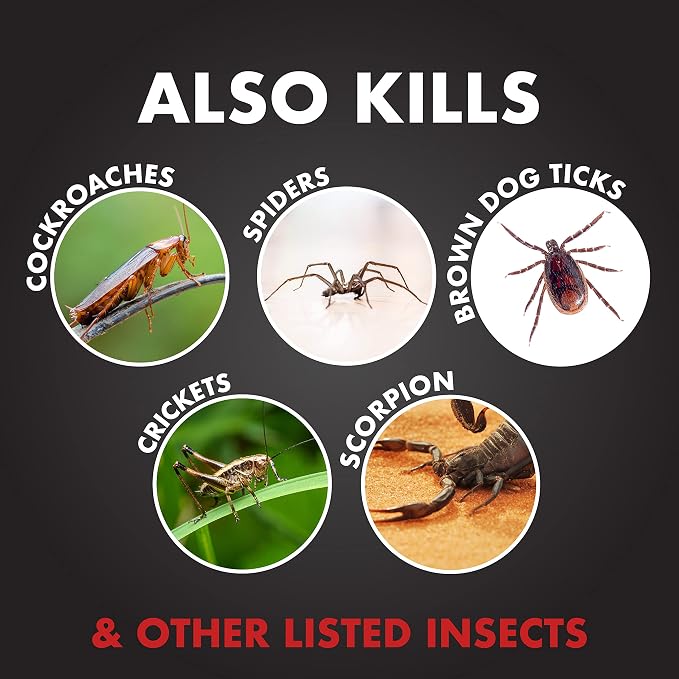 Spectracide Ant Shield Insect Killer Aerosol, 15-Ounce, Case Pack of 12