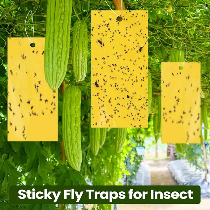 Qualirey 9.8 x 5.9 Inch Large Yellow Sticky Traps for Gnats Double Sided Sticky Trap for Plant Whiteflies, Aphids, and Black Flies with Twist Ties,Indoor and Outdoor (150 Pcs)
