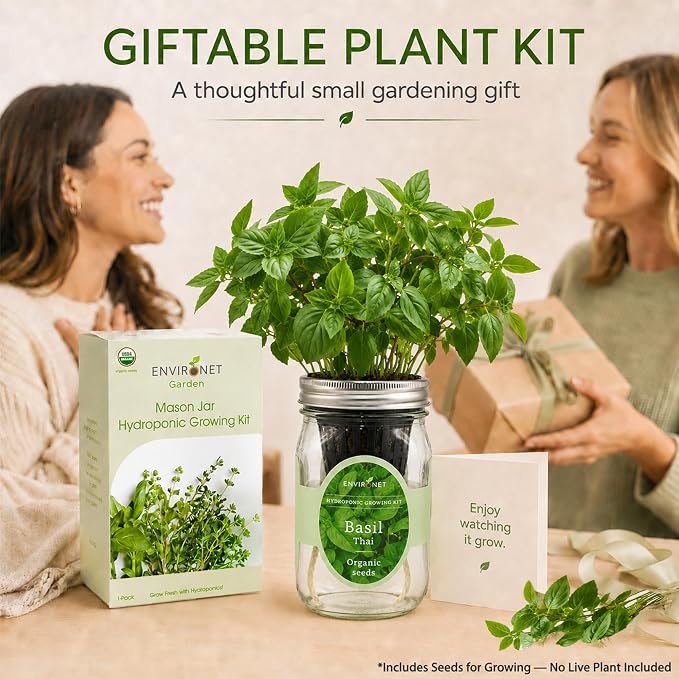 Hydroponic Herb Growing Kit, Self-Watering Mason Jar Herb Garden Starter Kit Indoor, Windowsill Herbs Garden, Grow Your Own Herbs from Organic Seeds (Thai Basil)