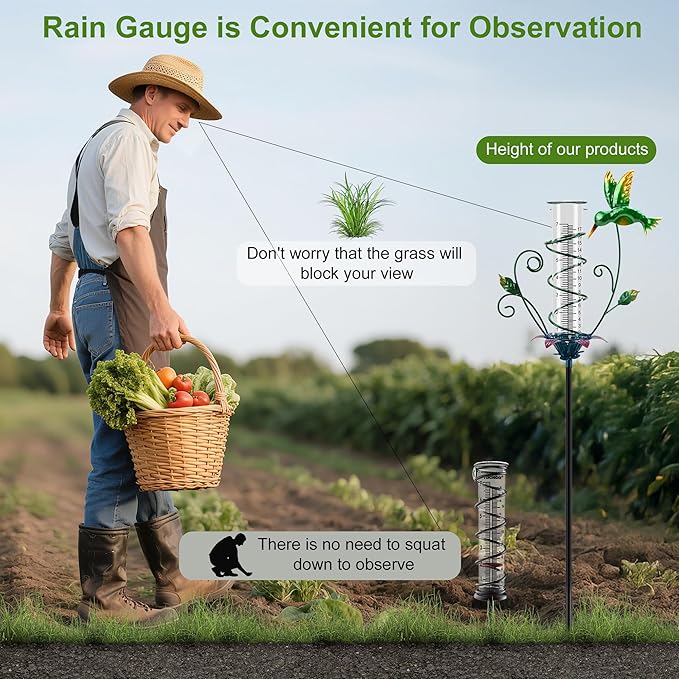 Hummingbird Rain Gauge Outdoor, Metal Rain Gauge with Stake 8 Inch Rain Measure Gauge for Garden, Lawn, Fence, Patio