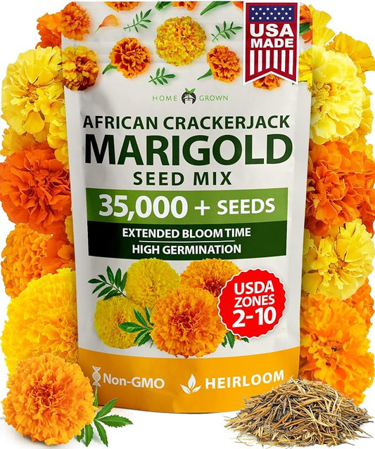 HOME GROWN Crackerjack Marigold Seeds | 4 oz / 35,000 Flower Seeds Planting Outdoor | Large Bulk Pack | High Germination, Wildflower Seed | Companion Planting