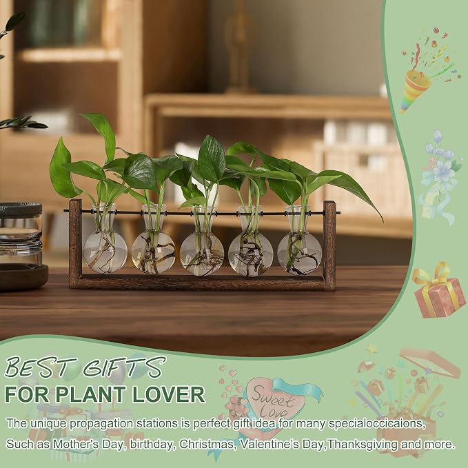 YIBOT Wall Hanging Glass Planter Plant Propagation Vase-5 Bulb Glass Vases | Plant Terrarium with Wooden Stand,Indoor Home Office Living Room Decor Gifts