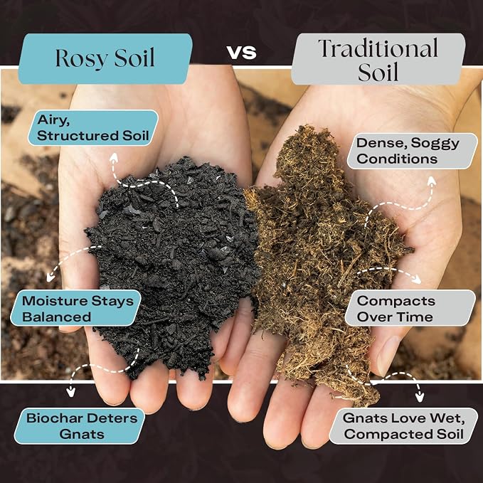 Rosy Soil Houseplant Potting Soil, Organic Indoor Potting Mix with Biochar and Worm Castings for Monstera, Pothos, Tropical Indoor Plants - Peat Free - 4qt