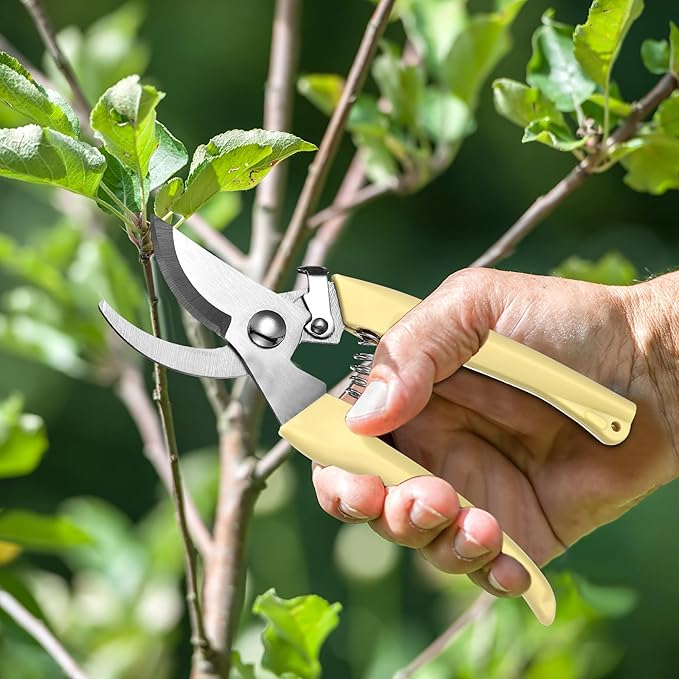 Chumia 6 Pcs Garden Pruning Shears Flower Scissors Handheld Heavy Duty Garden Shears Stainless Steel Clippers for Cutting Flowers, Tree Trimming, Gardening Gifts(Beige)