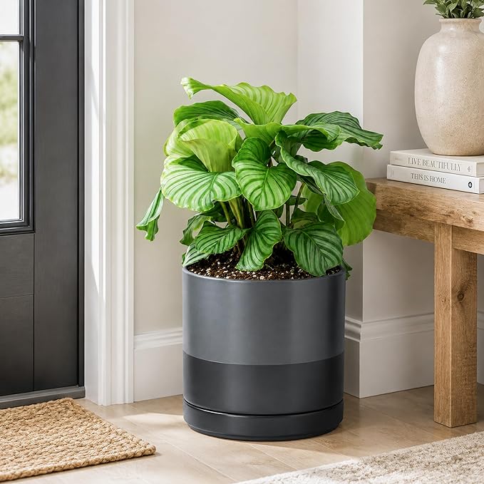 D'vine Dev 10 Inch Ceramic Planter Pot with Drainage Hole and Saucer, Indoor Cylinder Round Planter Pot, Slate, 94-O-E-5
