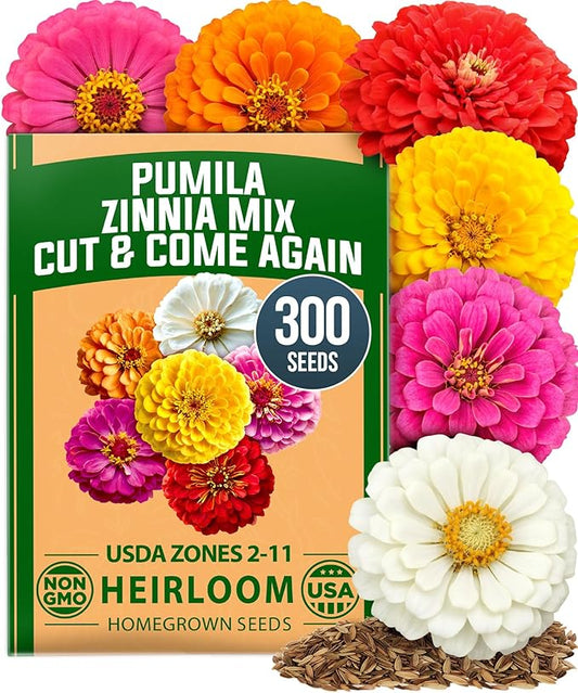 HOME GROWN Dwarf Zinnia Seeds Mix - 300 Pumila Zinnia Seeds for 2026 (0.6g) | Zinnia Flower Seeds for Planting Outdoors | Colorful Cut Annual Flowers for Summer Gardens & Containers (Zinnia elegans)