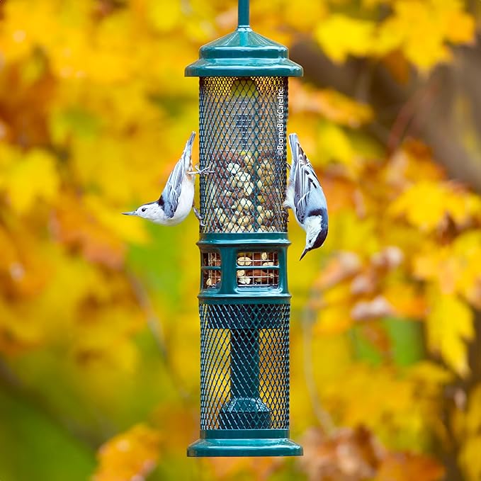 Squirrel Buster Nut Feeder Squirrel-Proof Bird Feeder for Shelled Peanuts & Dried Fruit, Weight-Adjustable, Woodpecker Friendly, 1.3lb Capacity with 2 Interchangeable Meshes