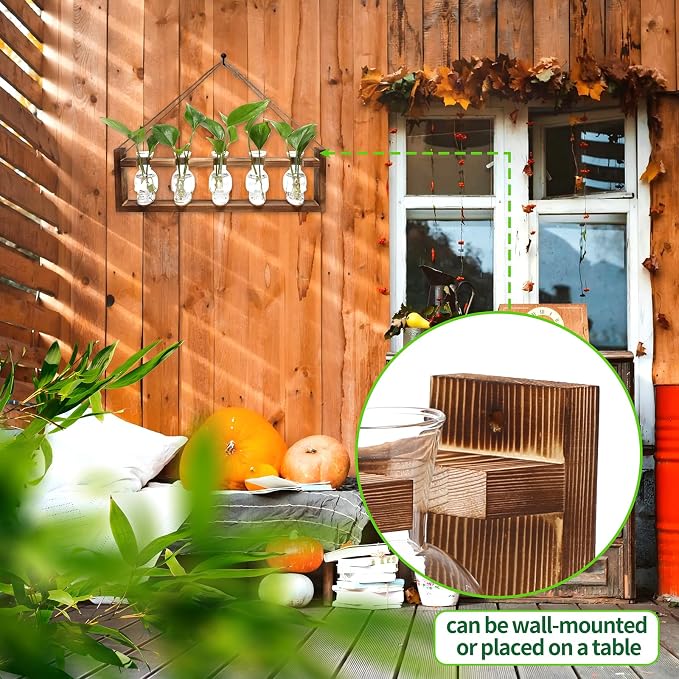 Plant Terrarium Propagation Stations Halloween Skull Planter Vase Skulls Decor with Wooden Stand Gife for Father - 5 Vases
