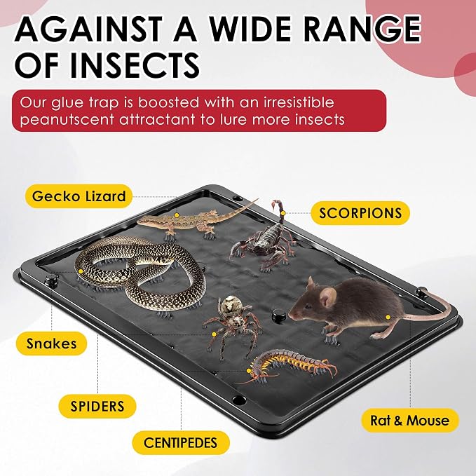 Qualirey 16 Pack Jumbo Rat & Mouse Glue Traps, 11.8 X 9.84 in Large Heavy Duty Mouse Traps Indoor for Home, Pre Scented Adhesive Plastic Tray with for Spider, Snake, Mice, Kids and Pet Safe (Black)