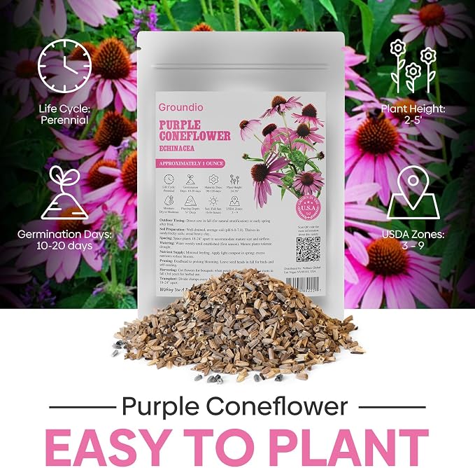 Groundio Purple Coneflower Seeds 1 OZ, Perennial Open Pollinated Non-GMO Echinacea Seeds Grown in the USA, Cone Flower Seed for Planting, USDA 3-9