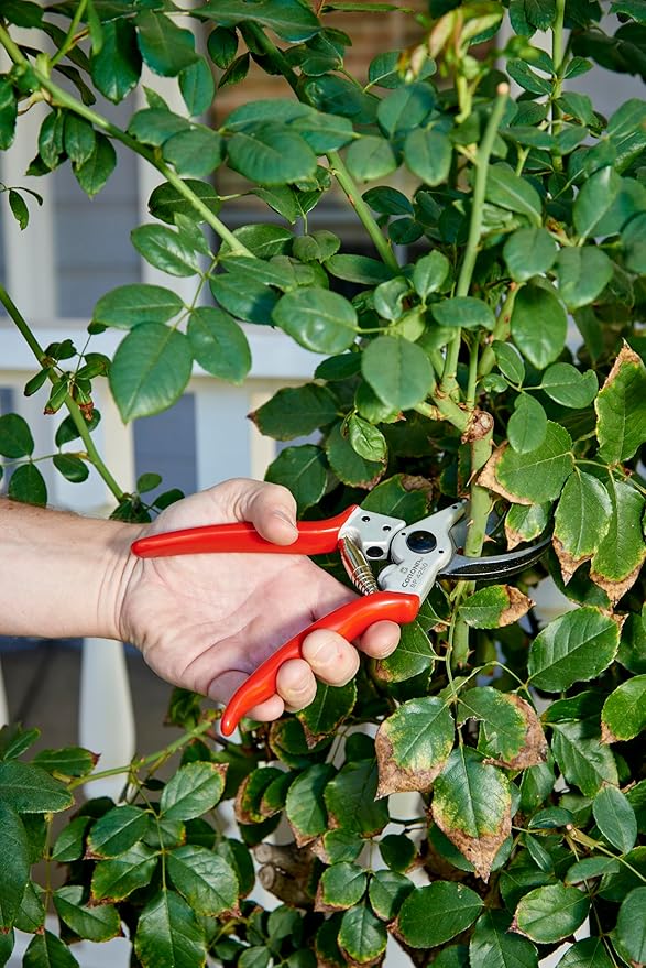 Corona Tools BP 4250 MAXFORGED Aluminum Bypass Pruner, 1-Inch Cut Capacity, Professional Hand Pruning Shears with Replaceable Steel Blade & Ergonomic Angled Head